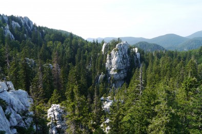 habitat of Salamandra atra prenjensis - Croatia